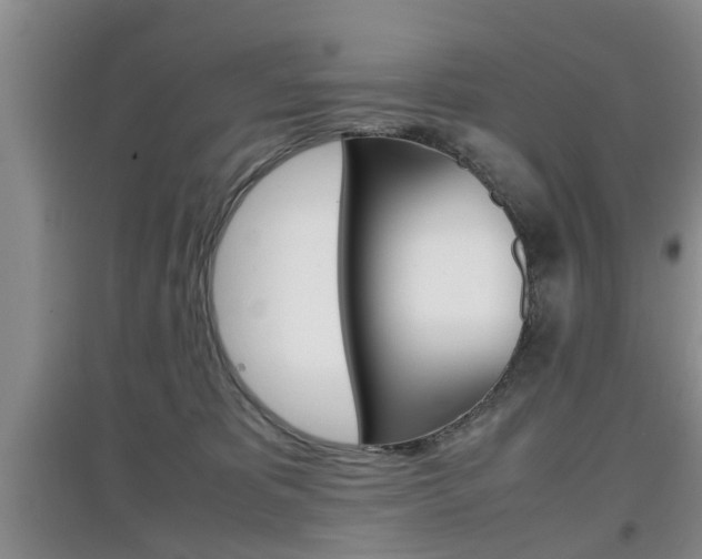 X0000097900325200803141012