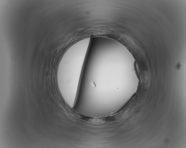X0000097900327200803141012