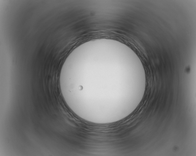 X0000097900328200803141012