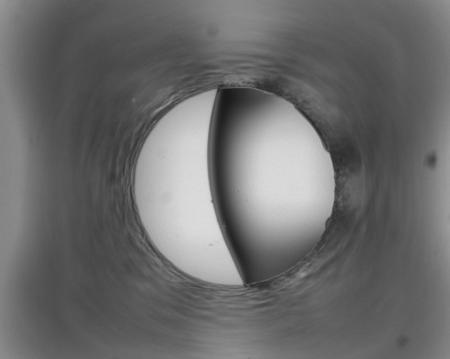 X0000097900329200803141012
