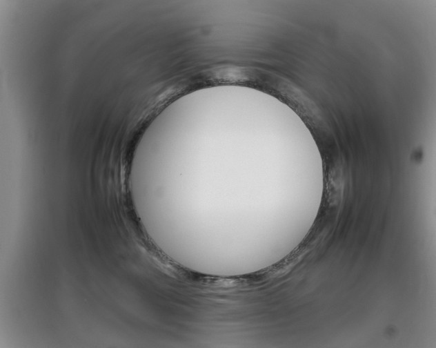 X0000097900330200803141012
