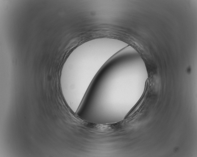 X0000097900333200803141012