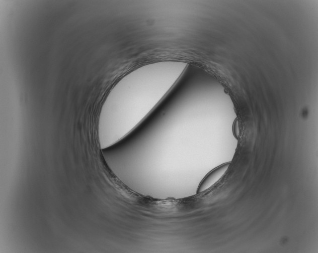 X0000097900335200803141012