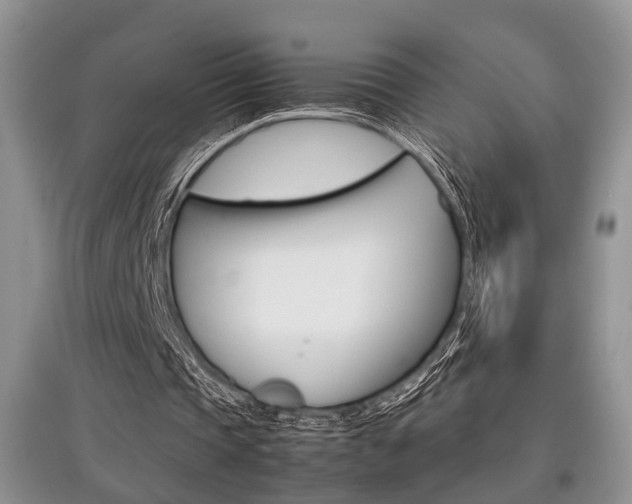 X0000097900337200803141011