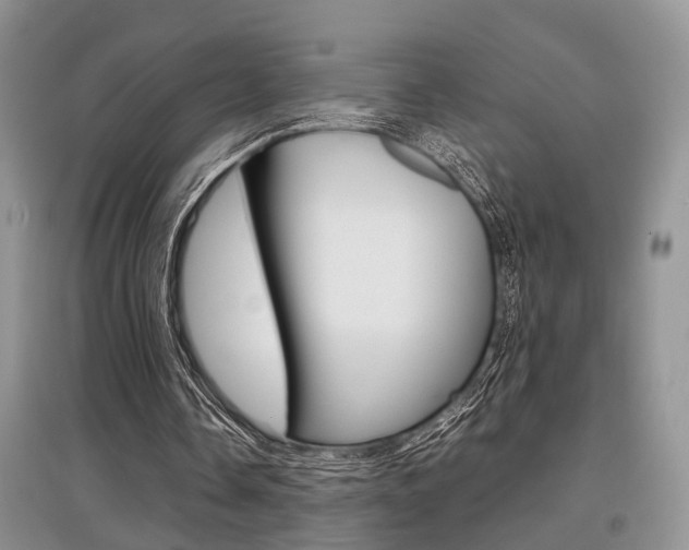 X0000097900338200803141011
