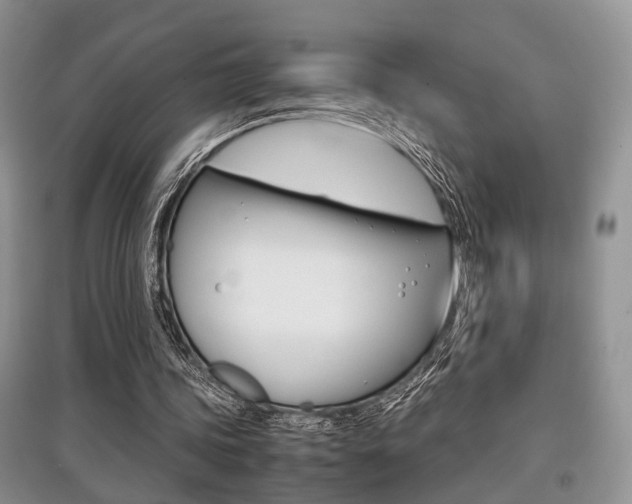 X0000097900339200803141011