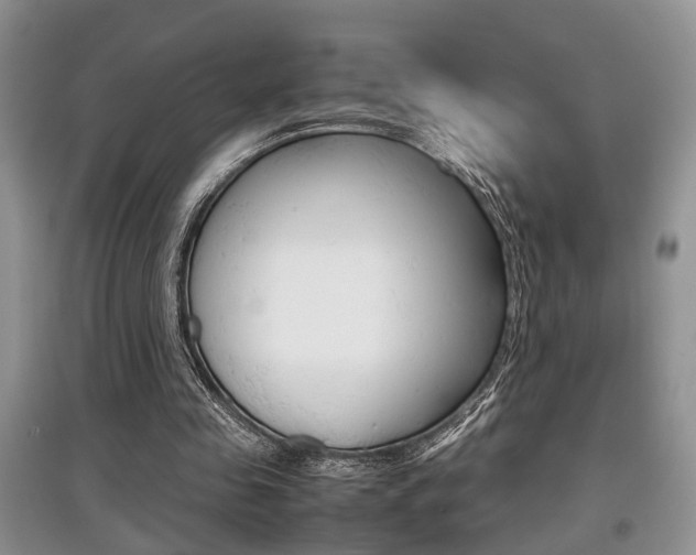 X0000097900341200803141011
