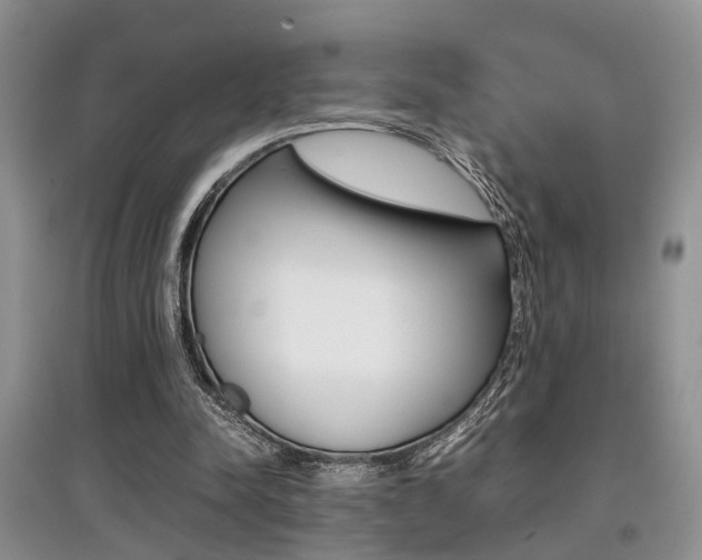 X0000097900342200803141011