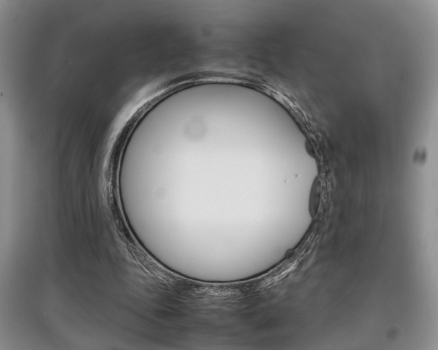 X0000097900343200803141011