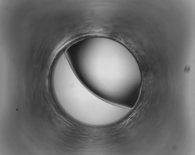 X0000097900344200803141011