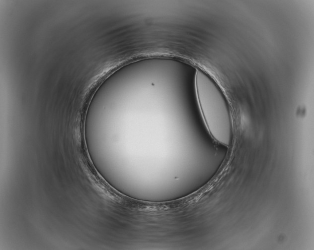 X0000097900345200803141011