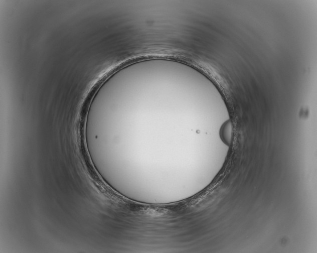 X0000097900346200803141011