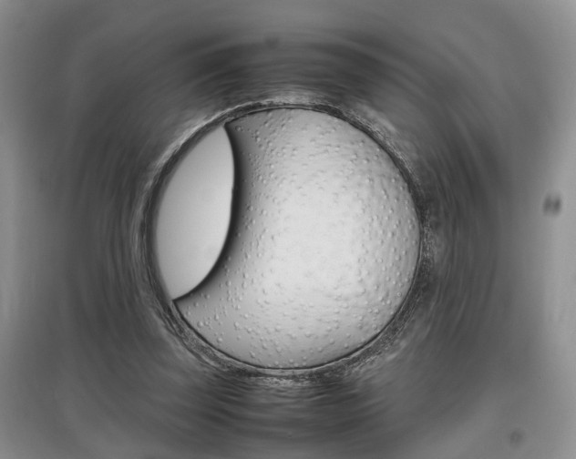X0000097900347200803141011