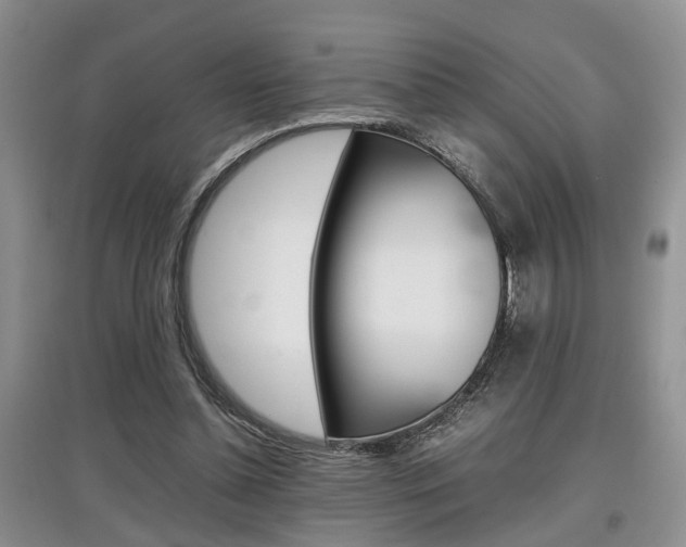 X0000097900348200803141011