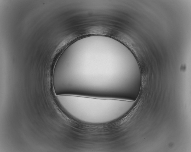 X0000097900349200803141011