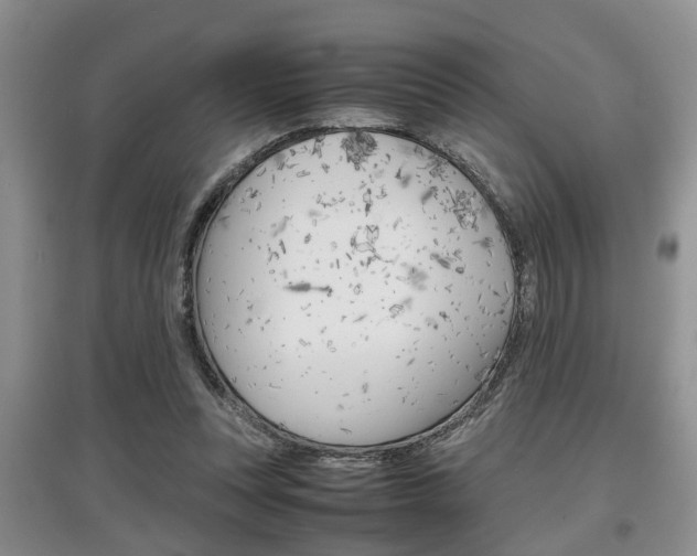 X0000097900351200803141011