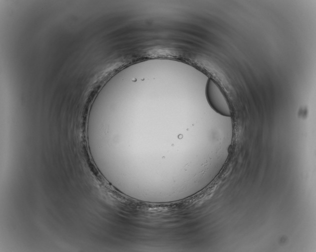 X0000097900353200803141011