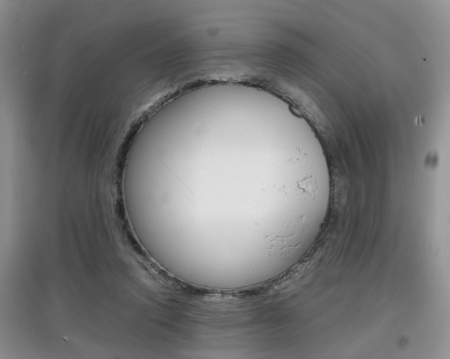 X0000097900354200803141011