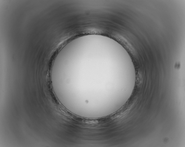 X0000097900355200803141011