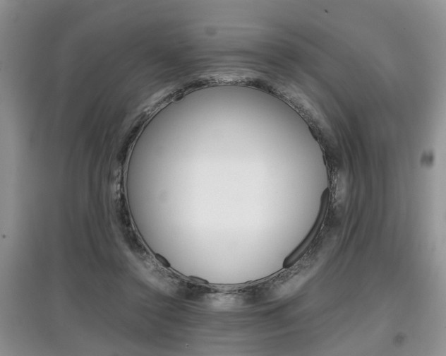 X0000097900356200803141011