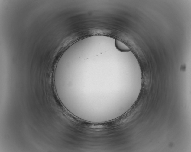 X0000097900357200803141011