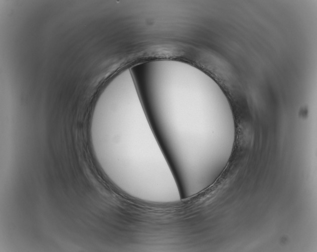 X0000097900358200803141011