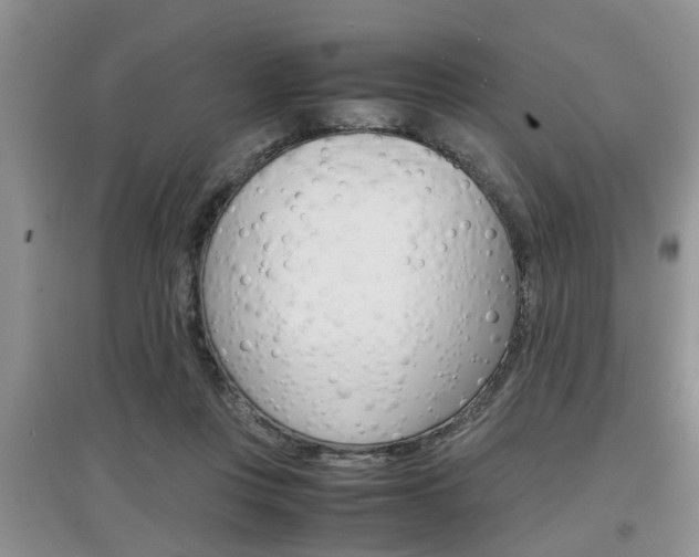 X0000097900359200803141011