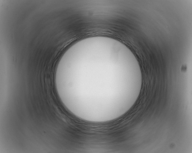 X0000097900360200803141011