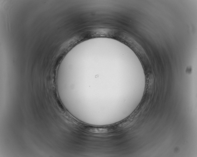 X0000097900361200803141011