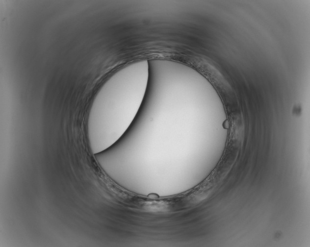 X0000097900363200803141011