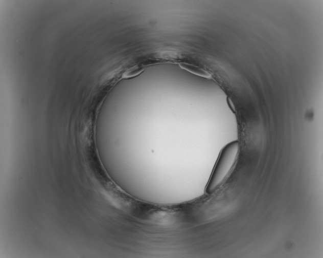 X0000097900364200803141011