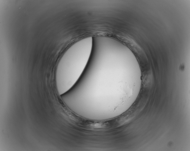 X0000097900365200803141011
