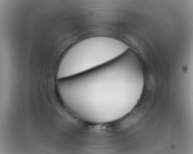 X0000097900366200803141011