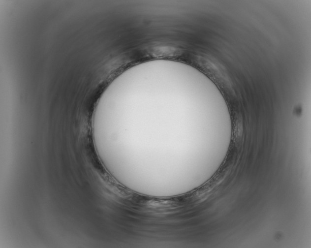 X0000097900367200803141011