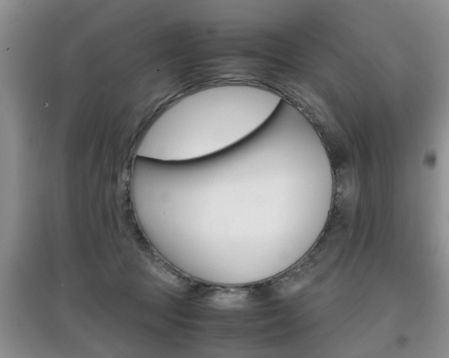 X0000097900369200803141011