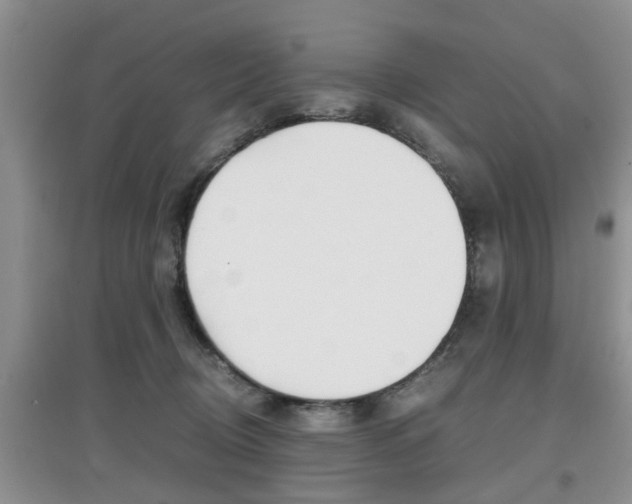 X0000097900370200803141011