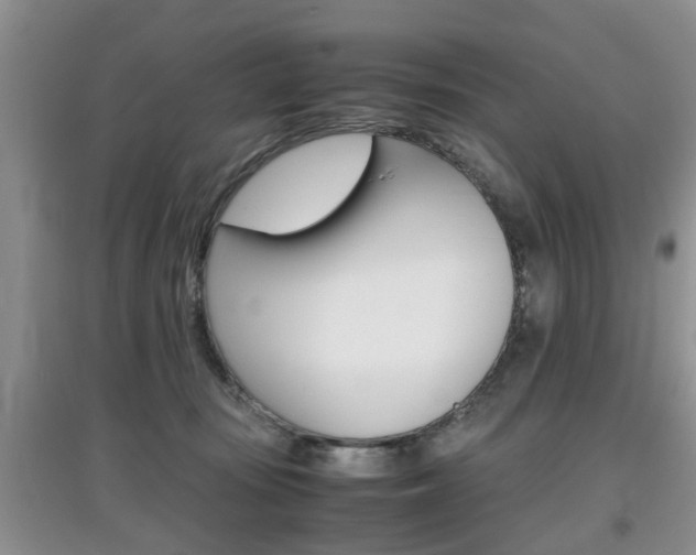 X0000097900371200803141011