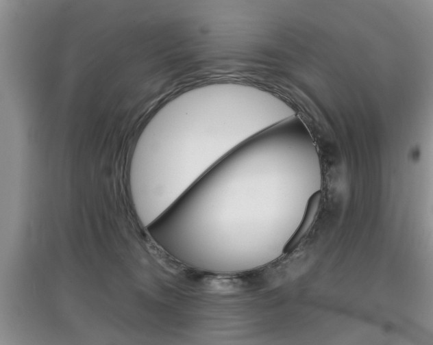 X0000097900372200803141011