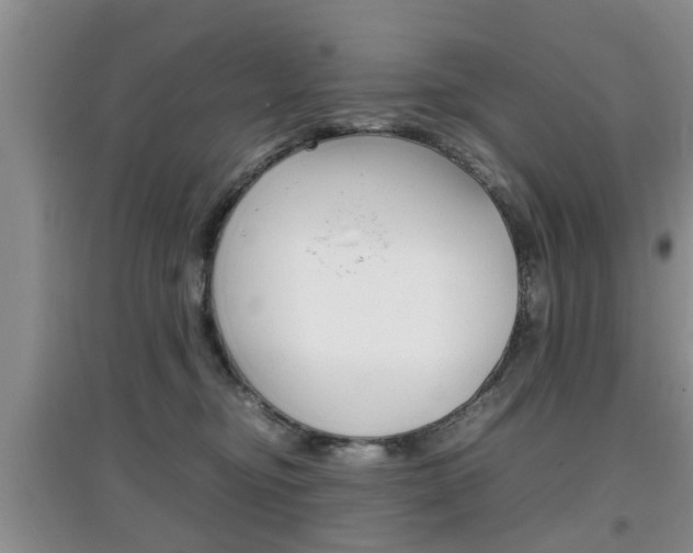 X0000097900374200803141011