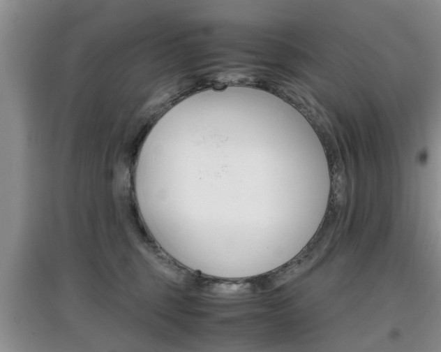 X0000097900375200803141011