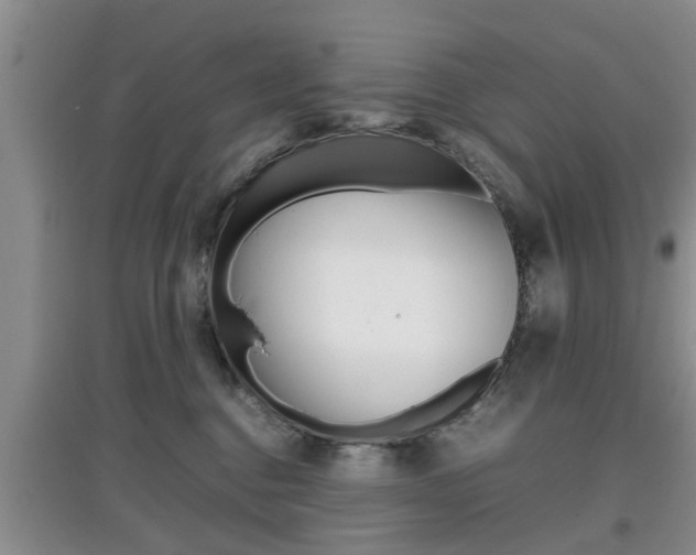 X0000097900376200803141011