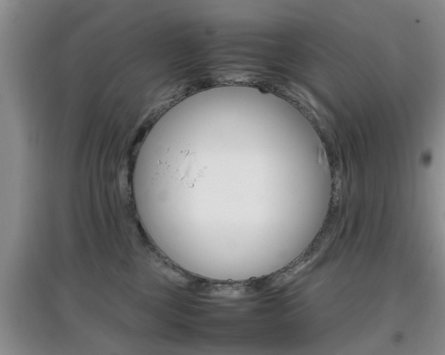 X0000097900377200803141012