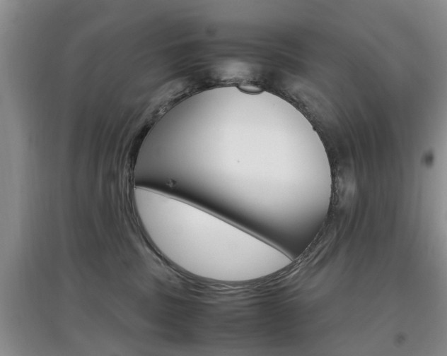 X0000097900379200803141012