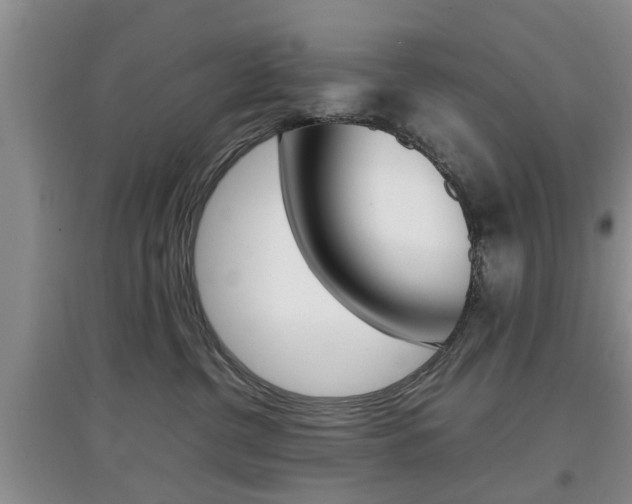 X0000097900380200803141012