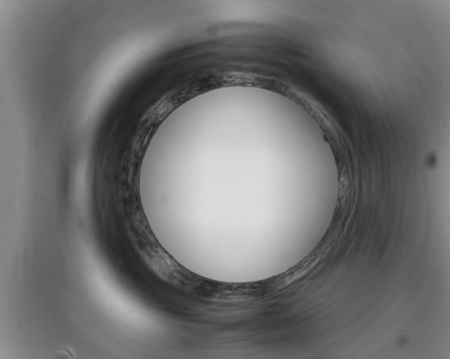 X0000097900381200803141012