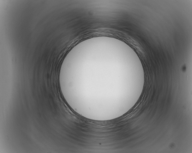 X0000097900382200803141012