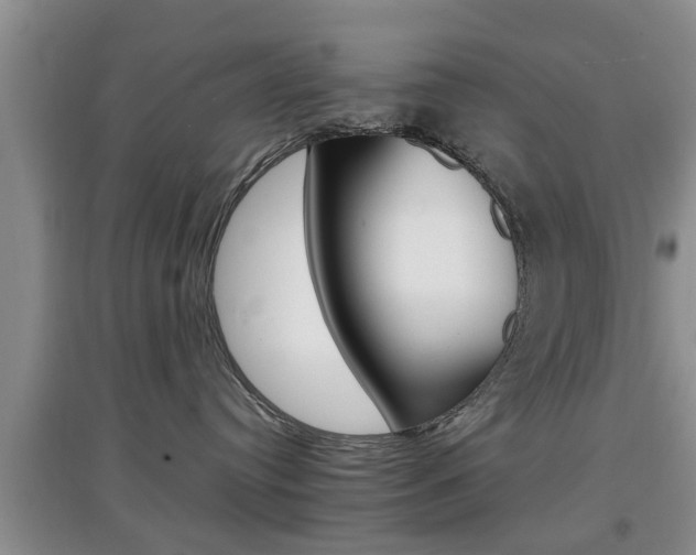 X0000097900384200803141012