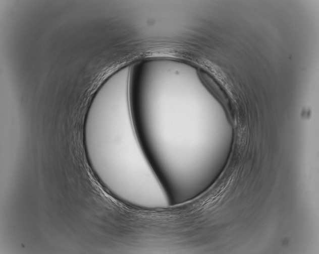 X0000097900385200803141011