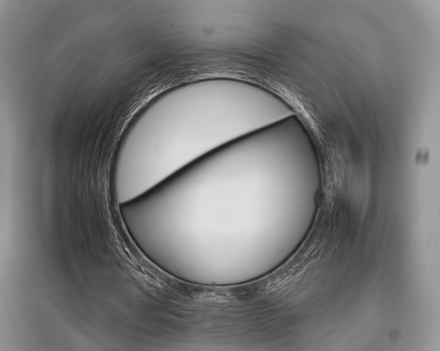 X0000097900386200803141011