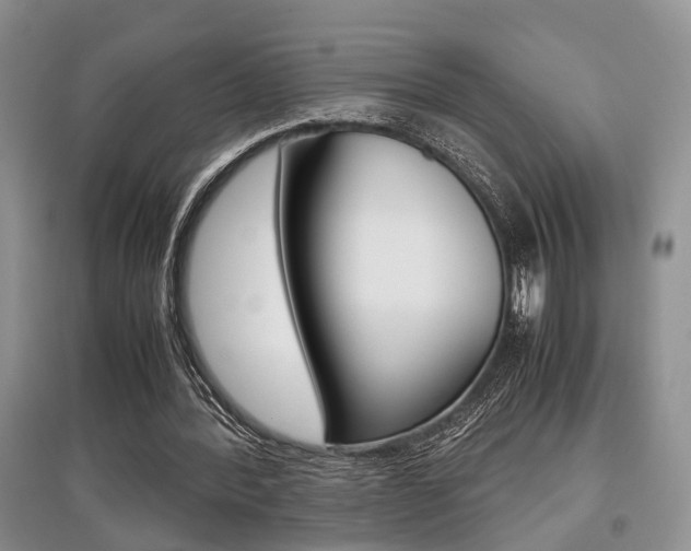 X0000097900388200803141011